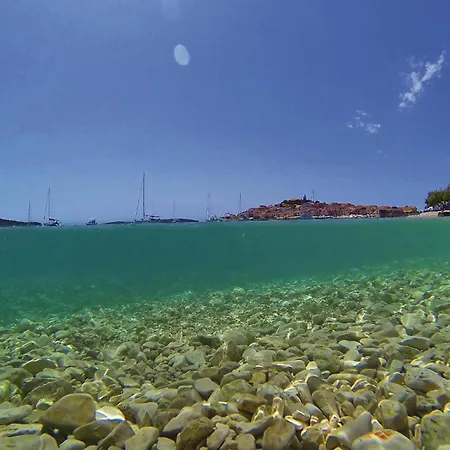 Amazing In Vikendica *